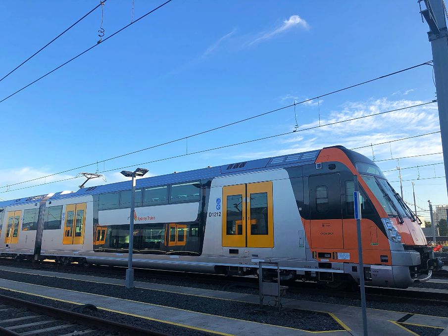 Waratah_5_905x