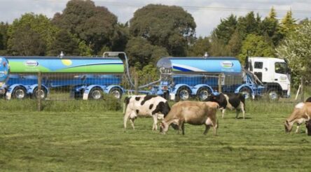 Image for Fonterra – internet 4.0 from cow to consumer