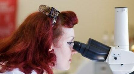 Image for Apprenticeships continue their freefall