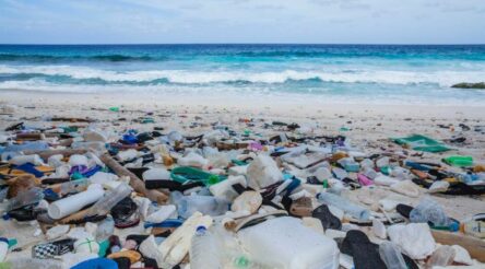 Image for Who wants to help tackle our massive plastic waste problem?