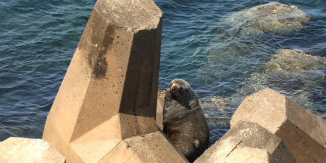 1L8A9937A-3990×1995