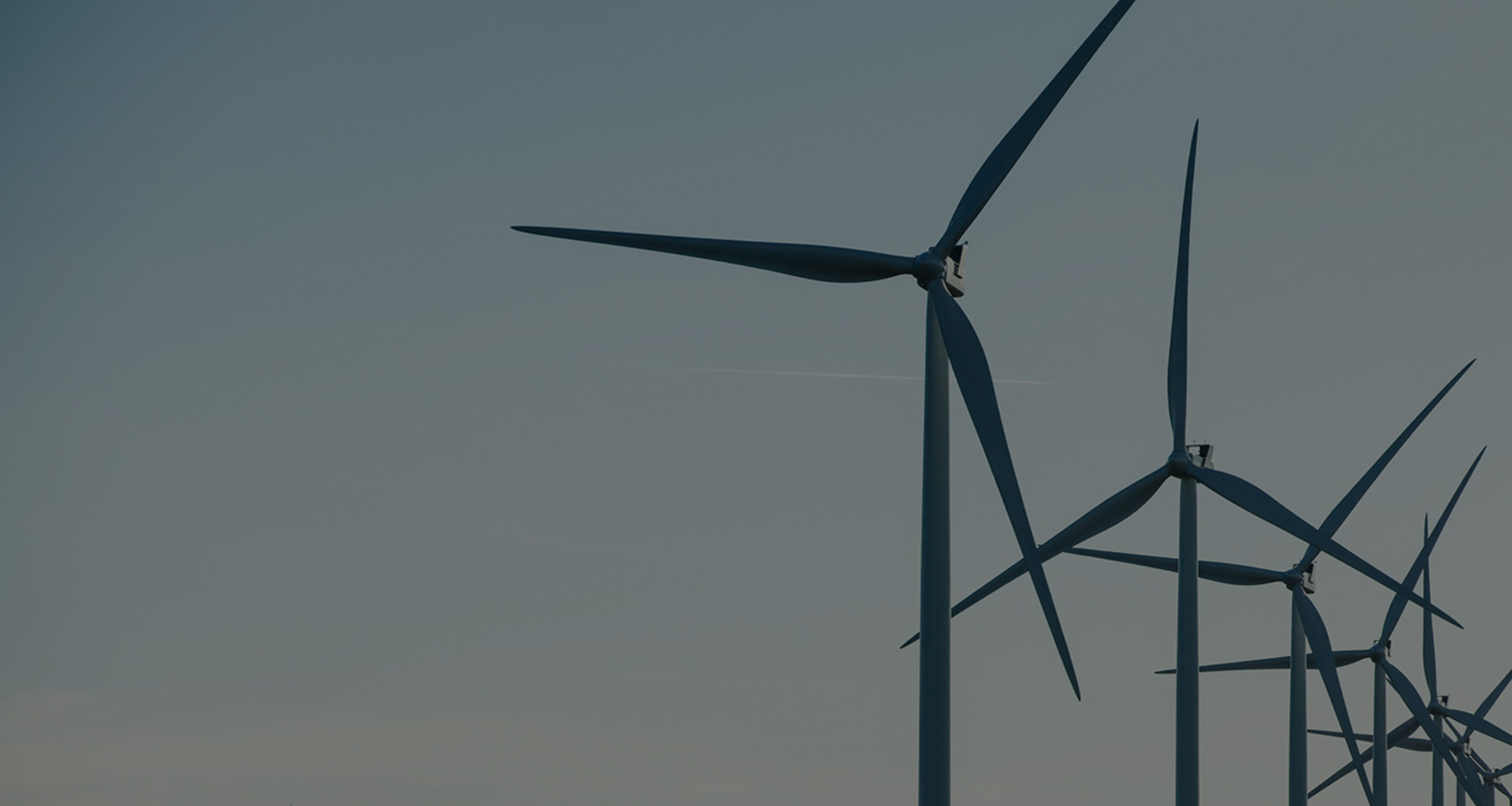 banner3