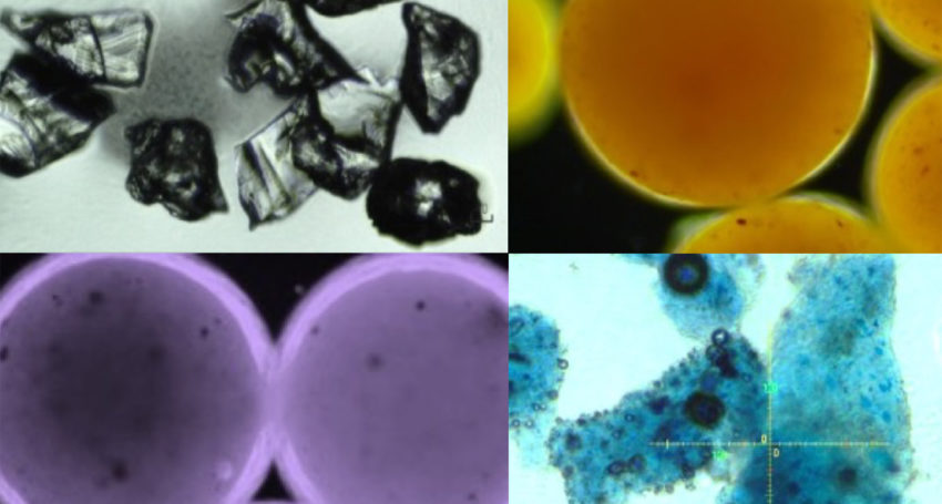 Microplastic-debris-in-cosmetics-under-optical-microscopy.-Photo-Credit_-Dr.-Xiaoguang-Duan-copy-850×455