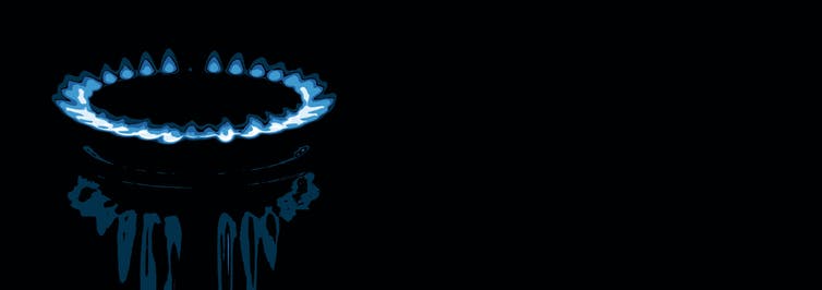 file-20190806-84240-vsrn6h