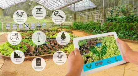 Image for Will the government realise the agricultural potential of IoT?