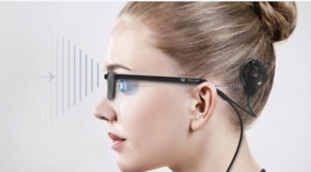 Image for “Seeing the Future: the Bionic Eye and Beyond” – VIDEO