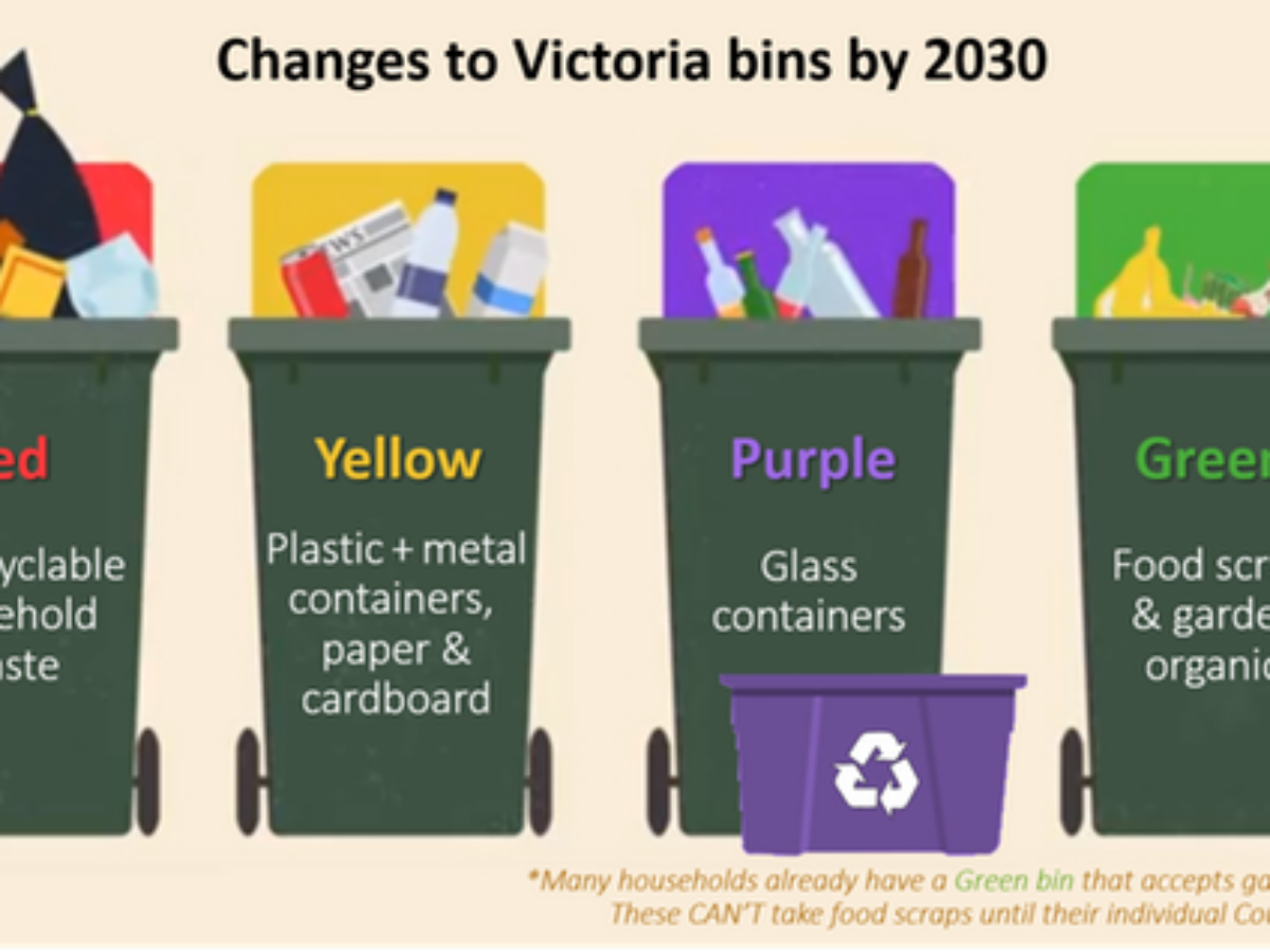 Four bins might help, but to solve our waste crisis we need a strong