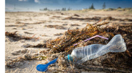 Image for Oceans now sending back plastic pollution