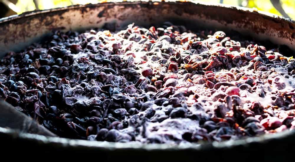 10-things-you-need-to-know-about-getting-rid-of-grape-marc-hero-image