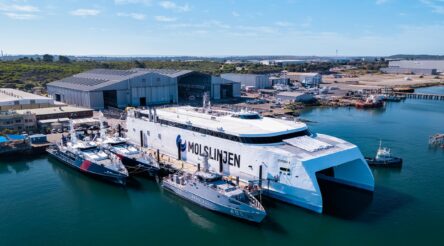 Image for Austal results show the profit power of Australia’s niche champions