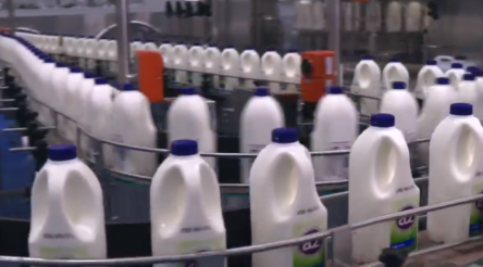 Image for a2 Milk Company continues strong growth