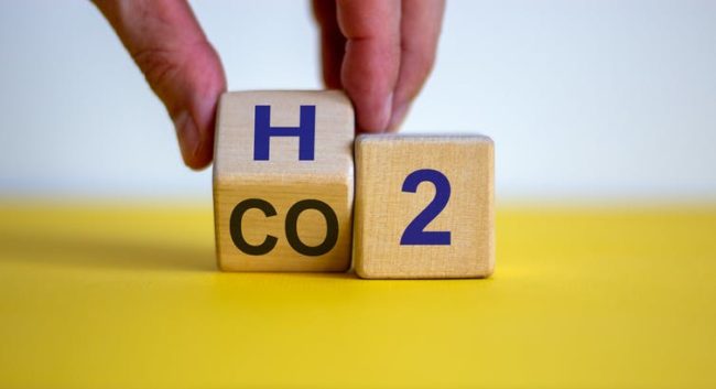 file-20200831-24-11fgpz9