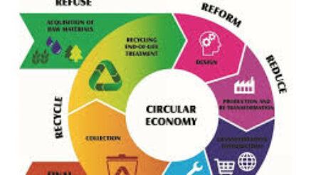 Image for Circular Experts directory launched