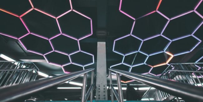 pexels-zachary-debottis-1888883-min-790×400