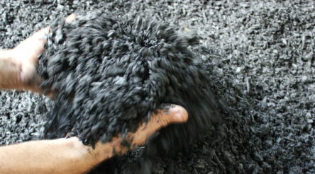 Image for Biochar: an ancient waste-to-value product
