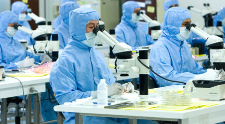 Image for How Cochlear’s manufacturing skills kept it onshore