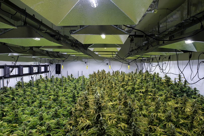 Medical cannabis is a rapidly growing sector, and plays Australia’s strengths in research, but the industry says regulations make its work difficult. Brent Balinski spoke to Peter Crock of Cann Group and Peter Duggan of CSIRO’s Botanical Extracts Lab about the potential. 