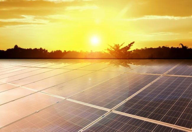 file-20210722-23-1qsba82