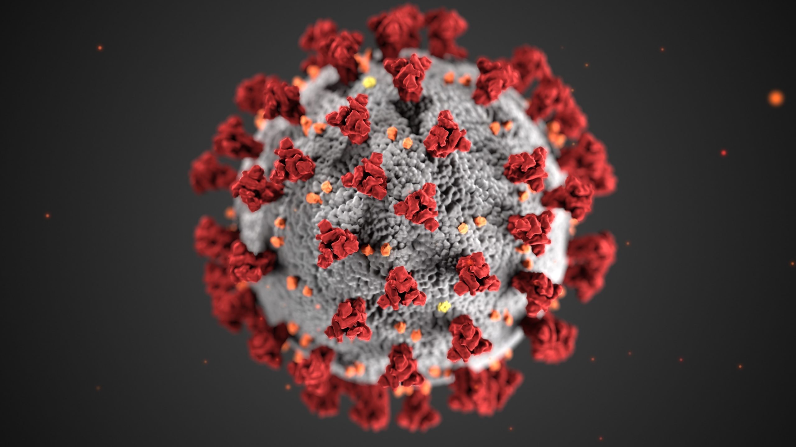 Coronavirus Disease 2019, Arlington, USA – 12 Mar 2020