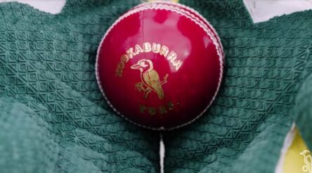 Image for Kookaburra bowls up technology to match its 130 year tradition