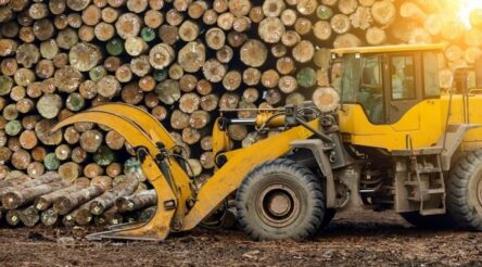 Image for Hunter biomass-to-hydrogen JV project in the works