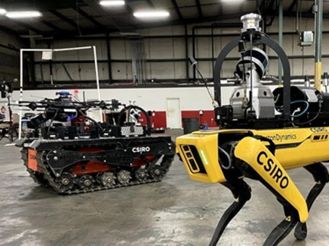 file-20211122-13-19yv860