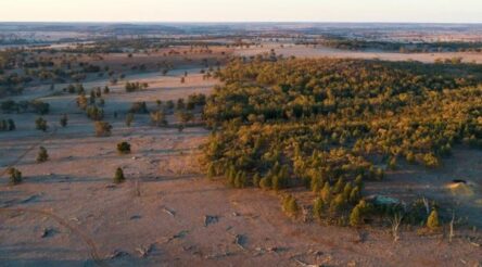 Image for Dubbo rare earths project hits milestone