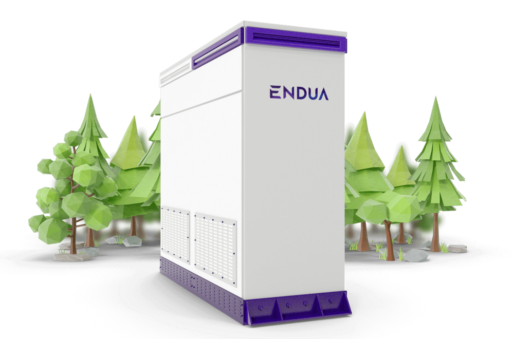 endua-case-forest