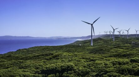 Image for Australia could get to net zero emissions much quicker than 2050 – if our politics was a force for change. Here’s how