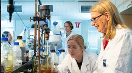 Image for Lava Blue in Critical Minerals Accelerator Grant
