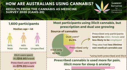 Image for Most people self medicating with illicit cannabis