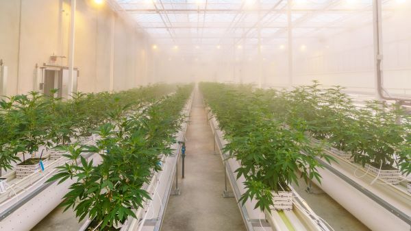 220420+CANN+Group+Mildura-28