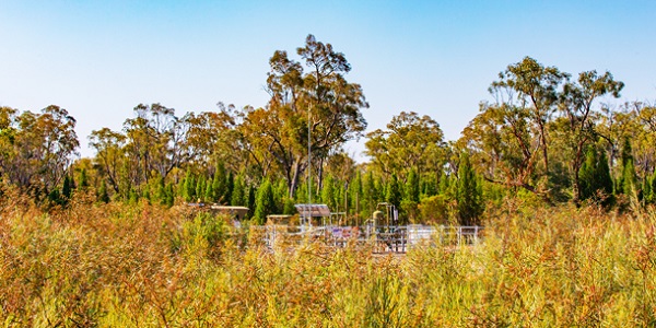 EIS-Spine-and-box-photo-Pilliga-well-OPT-610Wx305H