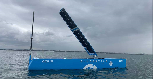 Screenshot 2022-11-29 065118