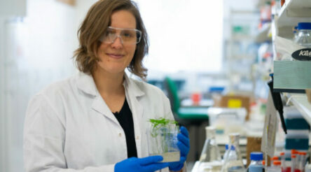 Image for Manufacturing news briefs — stories you might have missed