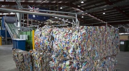 Image for SaveBOARD opens new cardboard-to-construction products factory
