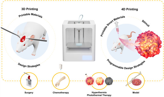 The potential of cancer therapy with 4D printing