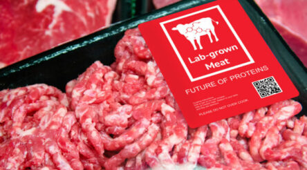 Image for If we perfect cultivated meat, we could hedge against food shortages as climate chaos intensifies