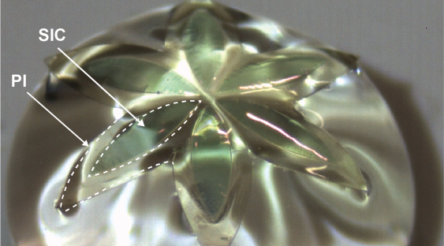 Image for Researchers discover new way to fabricate stretchable electronics