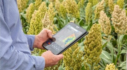 Image for AgTech gets a boost in Victoria