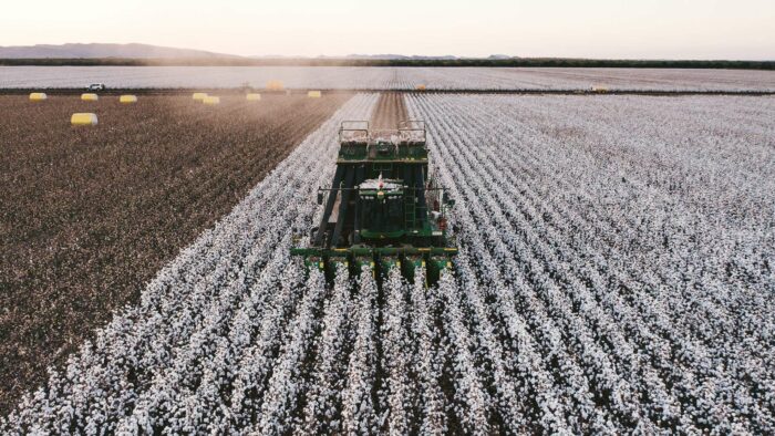 Kimberley-Cotton-2022a-Web