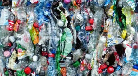 Image for Unsafe plastics invading the human food chain – CSIRO