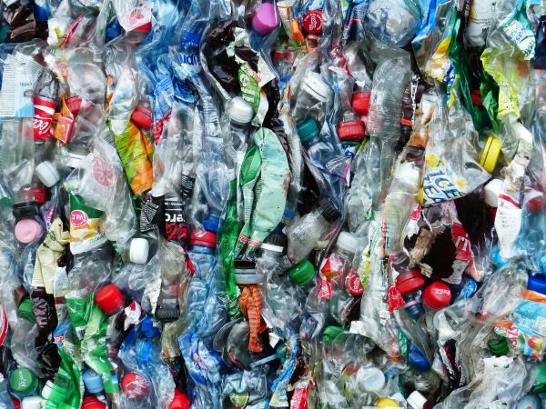 Unsafe plastics invading the human food chain - CSIRO