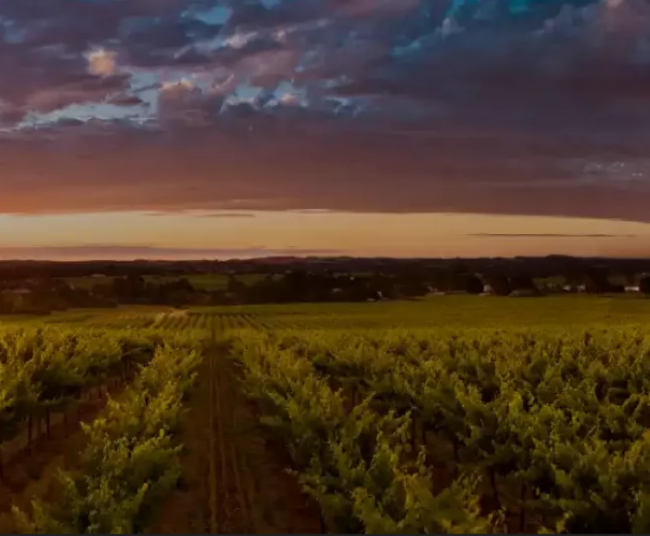 Screenshot 2023-07-05 123618