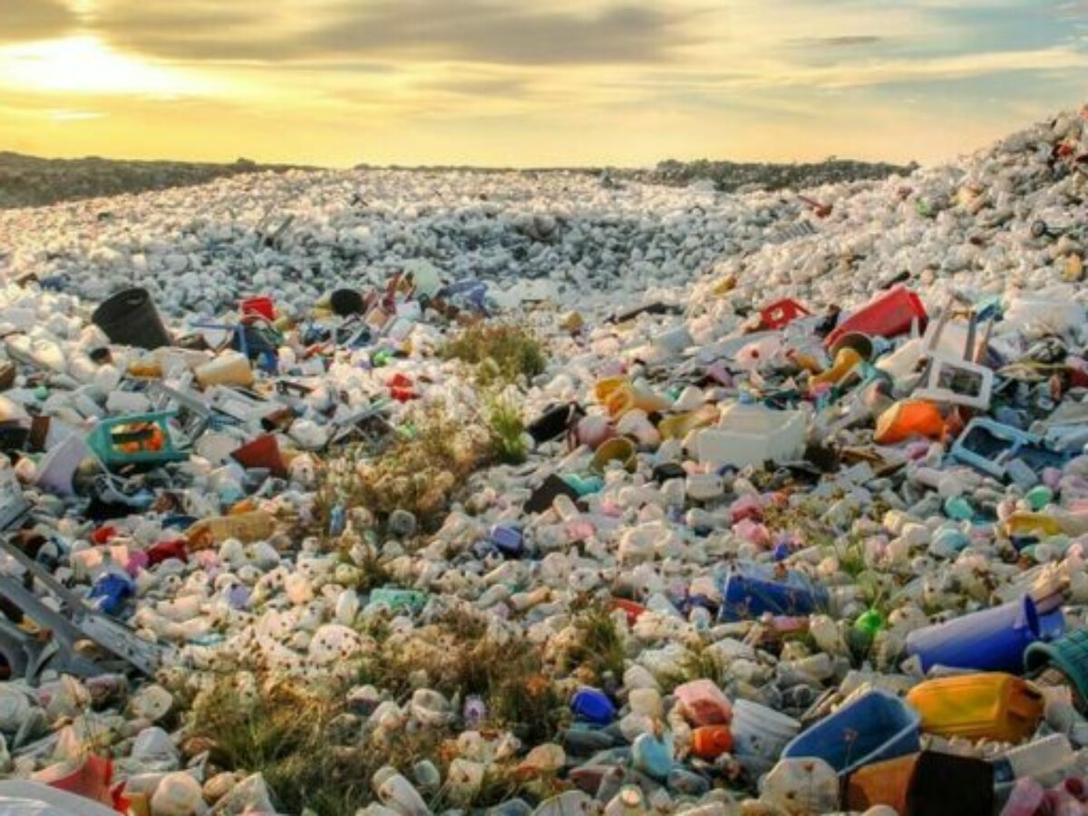 img-plastic-free-july-2020-banner2-e1668645908865-1200×900-c-default