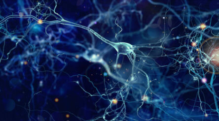 Image for State government announces funding for commercialising university research