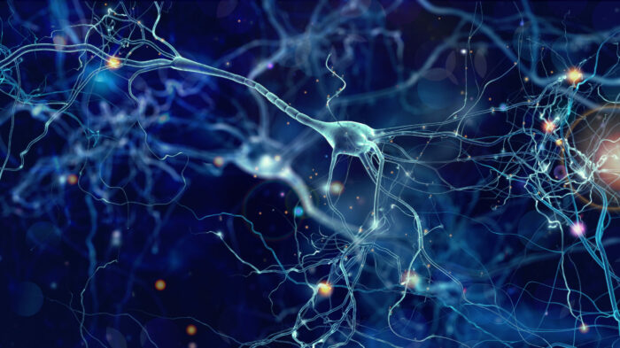 Breakthrough-Victoria_Health-Life-Sciences_Banner