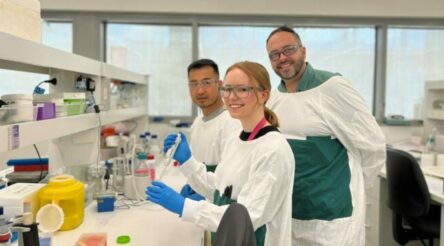Image for Study shows black phosphorous nanoflakes promising against superbugs in wound care, devices
