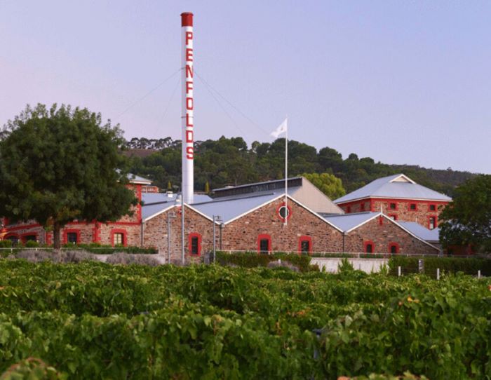 Treasury maps out return to China wine market