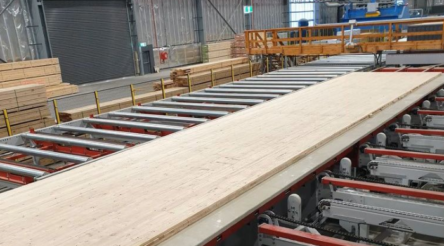 Image for Timberlink produces its first Cross Laminated Timber panel